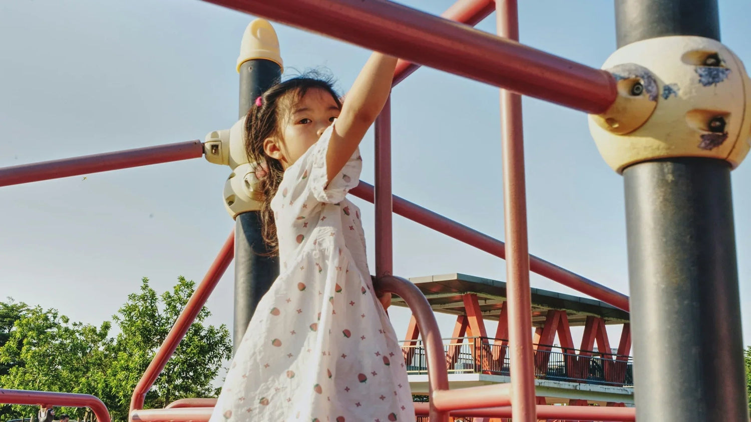 What Schools and Childcare Centres Should Know Before Buying Outdoor Equipment - PlayScapes